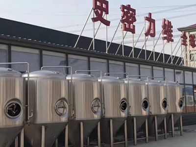 北辰精酿啤酒设备厂—市场规模与跨界新需求